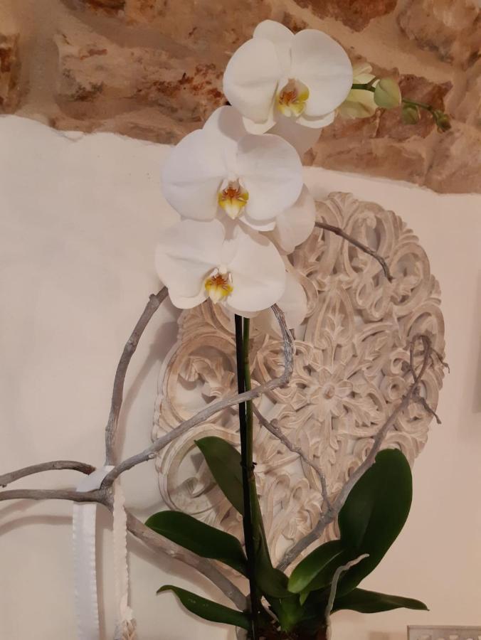 Donna Lucrezia Dimora A Corte B&B Conversano Exterior photo