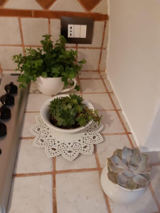 Donna Lucrezia Dimora A Corte B&B Conversano Exterior photo